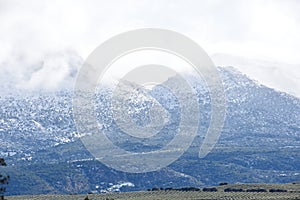 Panoramic view of extensive olive fields after a winter snowfall