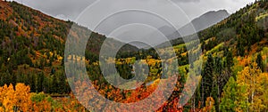 Panoramic view of fall foliage at McClure Pass scenic landscape with overcast sky, Colorado