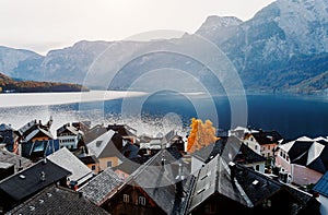 Panoramic view of the famous village Hallstatt and tiled roofs with yellow tree, Austria.