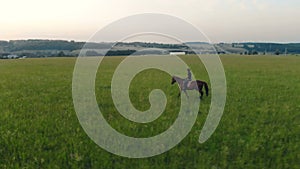 Panoramic view of a field with a female equestrian riding a stallion