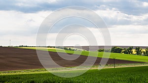Panoramic view of fields in spring time
