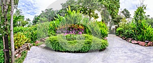 Panoramic view of flora garden with cement pathway