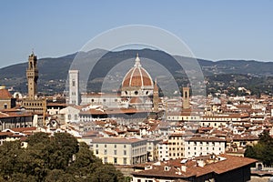 Panoramic view of Florence