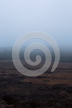 Panoramic view of a foggy swamp field in autumn