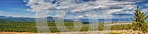 Panoramic view of forest fire damage and recovery from roadside in Yellowstone