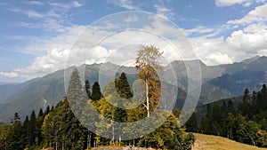 Panoramic view with forest on foreground from Krasnaya Polyana.