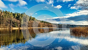 Panoramic view of the forest lakeshore on a sunny day. Autumn landscape.