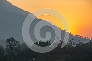 Panoramic view of forest and mountains, summer landscape with foggy hills at sunrise