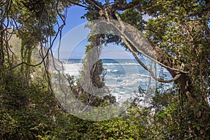 Panoramic view from a forest onto the coast of the Indian Ocean in South Africa\'s Tsitsikama National Park