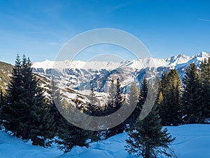 Panoramic view with forest in winter in resort Ladis, Fiss, Serfaus in ski resort in Tyrol