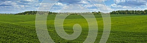 panoramic view of fresh soybean green field beautiful landscapes of crops on the hills