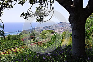 Panoramic view of Funchal harbor from the botanical garden of Madeira Portugal