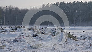 Panoramic view of garbage dump in winter in winter forest, Russia