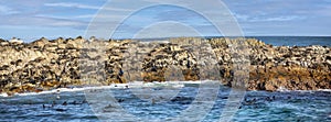 Panoramic view of Geyser Island in South Africa with its large colony of seals, sea lions and penguins