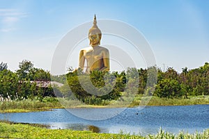 Panoramic view of Giant sitting Buddha against tropical landscape