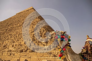 Panoramic view from Giza Desert, Architecture and historical place from Egypt, El Cairo 2018 photo