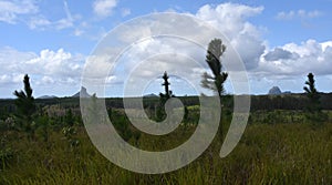 Panoramic view of Glass House Mountains National Park