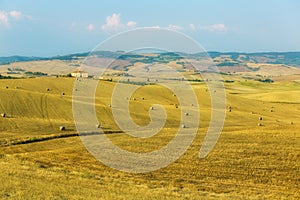 Panoramic view of golden fields of Tuscany