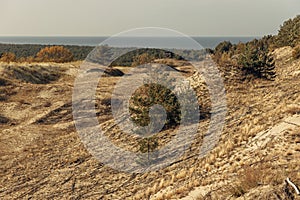 Panoramic view of the golden sand dunes of the Curonian Spit. The coastline of the Baltic Sea, forest belt, shrubs and