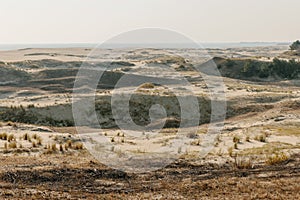 Panoramic view of the golden sand dunes of the Curonian Spit. The coastline of the Baltic Sea, forest belt, shrubs and