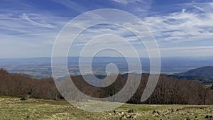 Panoramic View from Grand Ballon, Vosges Summit in Haut-Rhin, Alsace, France, on a Clear April Day