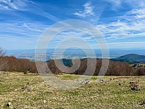 Panoramic View from Grand Ballon, Vosges Summit in Haut-Rhin, Alsace, France, on a Clear April Day