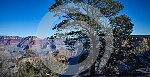 Panoramic View of the Grand Canyon as Seen from the South Rim on a Bright, Clear Autumn Afternoon