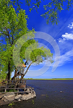 Panoramic view of the grassy meadows and wetlands - wildlife and birds reserve - and the Biebrza river in the Biebrzanski National