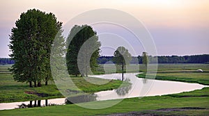 Panoramic view of the grassy meadows and wetlands - wildlife and birds reserve - and the Biebrza river in the Biebrzanski National