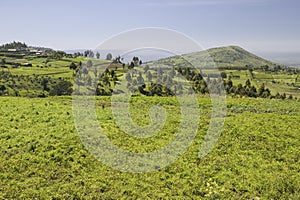 Panoramic view of Great Rift Valley in spring after much rainfall, Kenya, Africa