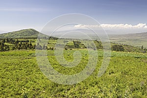 Panoramic view of Great Rift Valley in spring after much rainfall, Kenya, Africa