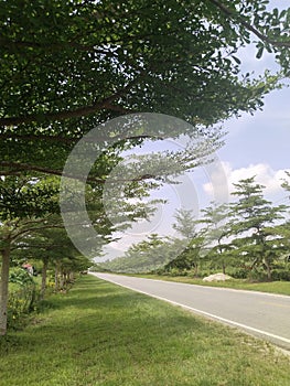 Panoramic view of a green and beautiful street in the city of stone in summer in the country of Indonesia