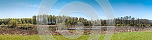 Panoramic view of green forest woods and river landscape in sunny spring day