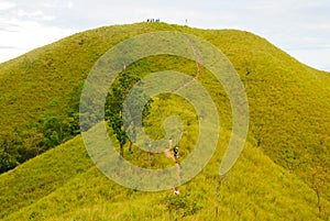 Panoramic view of green hill