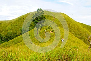 Panoramic view of green hill