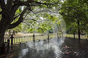 Panoramic view of a green lawn and trees forest  from wooden balcony in classic vintage style