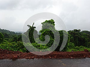 Panoramic view of the green mountain ranges in Goa, India