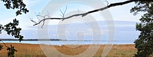 Panoramic view of Haken Struck, a geotope in the nature park Insel Usedom in Germany