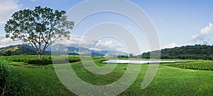 Panoramic view of Hanalei Valley in Kauai