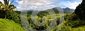 Panoramic view of Hanalei valley with taro fields and mountains, Kauai photo