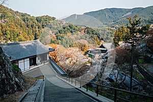 Panoramic view of Hasedera temple at spring in Nara, japan