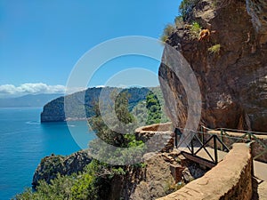 Panoramic view from the heights of Cap Carbon in BÃÂ©jaÃÂ¯a