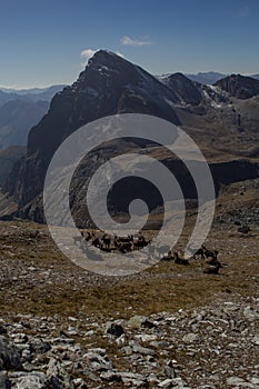 Panoramic view of the high peaks of Elva