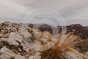 Panoramic view of the highest peaks of the Lovcen mountain national park in southwestern Montenegro. - Image