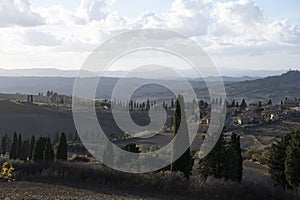 Panoramic view on hills near Pienza, Tuscany, Italy. Tuscan landscape with cypress trees, vineyards, forests and ploughed fields