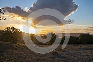 Panoramic view on hills near Pienza, Tuscany, Italy. Tuscan landscape with cypress trees, vineyards, forests and ploughed fields