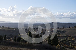 Panoramic view on hills near Pienza, Tuscany, Italy. Tuscan landscape with cypress trees, vineyards, forests and ploughed fields