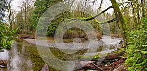 Panoramic view of Holland Creek trail in Ladysmith, Vancouver Is