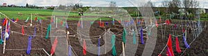 Panoramic view of homesteads and gardens in spring with fencing with ribbons of colored fabrics to scare away birds