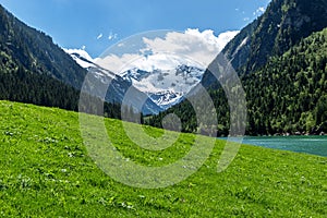 Panoramic view of idyllic mountain scenery in the Alps with fresh green meadow and snowy covered mountain peaks, Zillertal Alps Na